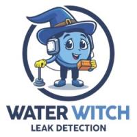 Water Witch Leak Detection Logo