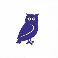BirdWatch Logo