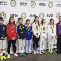 Premier Fencing Club Logo