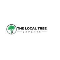 Tree Service Experts Fort Worth Logo