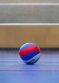 Volleyball Empire LLC Logo