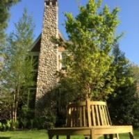 Andover Arborists Logo