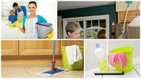 Rito Fortes Window Care Logo