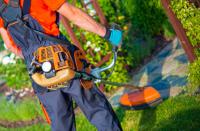 AZ Desert Landscaping, LLC Logo