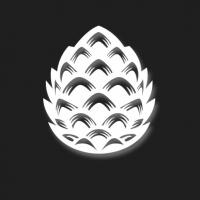 Sanidas Academy Logo