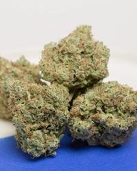 Serra Dispensary Belmont Logo