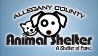 Allegany County Animal Shelter Logo