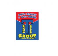 Team Motor Group Logo