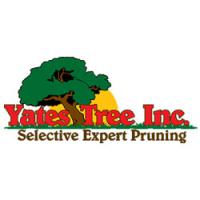 Yates Tree Inc Logo