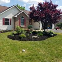 Showalter Landscaping Logo