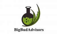 BigBudAdvisors Logo