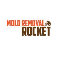 Mold Removal Rocket Logo