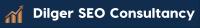 Dilger SEO Consultancy Logo