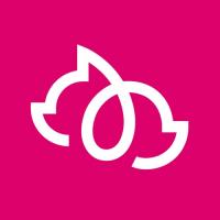 BetterVet Denver, Mobile Vet Services Logo