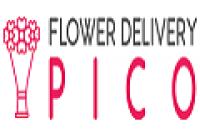 Flower Delivery Pico logo