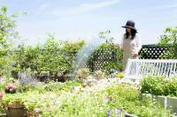 NEW IMAGE LANDSCAPING and TREE SERVICE INC Logo