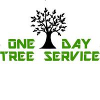 One Day Tree Service Logo