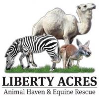 Liberty Acres Animal Haven & Equine Rescue logo