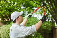 Lakeway Tree Service Pros Logo