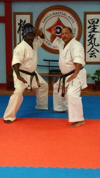 Basi Kyokushin Logo