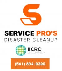  Services Pros of Boynton Beach  Logo
