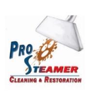 Pro Steamer Cleaning and Restoration Logo