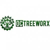 Mission Viejo Tree Experts Logo