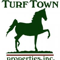 Turf Town Properties Inc logo