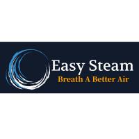 Easy Steam LLC Logo