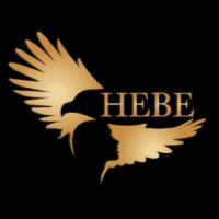 The Hebe Medical Spa Logo