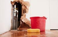 Iron Bar Water Damage Experts Logo