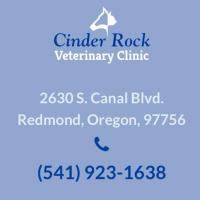 Cinder Rock Veterinary Clinic Logo