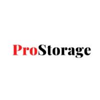 Pro Storage - Layton Logo