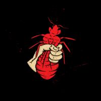 Town and Country Pest Solutions Inc Logo