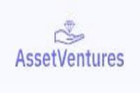 Asset Venture Advisors LLC Logo