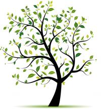 Designer Tree Service & Landscape Logo