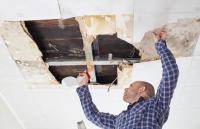 Charlottesville Mold Removal Logo