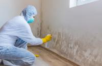 Strong Island Mold Inspections Logo