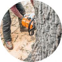 Tree Service Kingman AZ Logo
