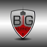 Burnes International Group Logo