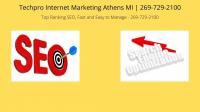  Techpro Internet Marketing Athens MI Logo