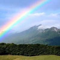 Thurston Associates Logo