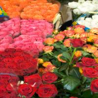 Flower Fair Logo