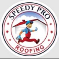 Speedy Pro Roofing of Kingsport logo