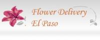 Same Day Flower Delivery El Paso TX - Send Flowers Logo