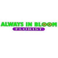 Always In Bloom Florist & Gifts Logo