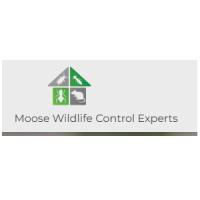 Moose Wildlife Control Experts Logo