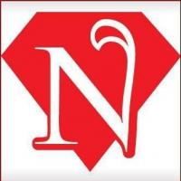 Diamond Nails & Spa Logo