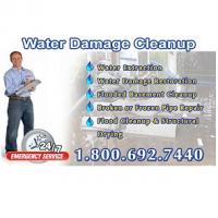 Water Damage Cleanup Pros of Needham Logo