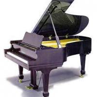 Walter Piano Company, Inc Logo
